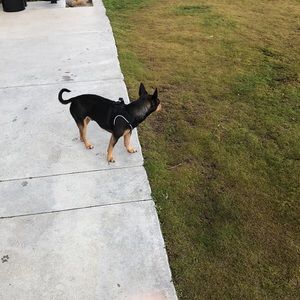 Meet your Posher, Amy